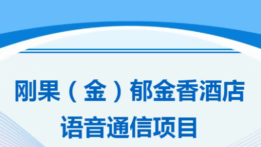 4008云顶集团:某某酒店语音通信项目